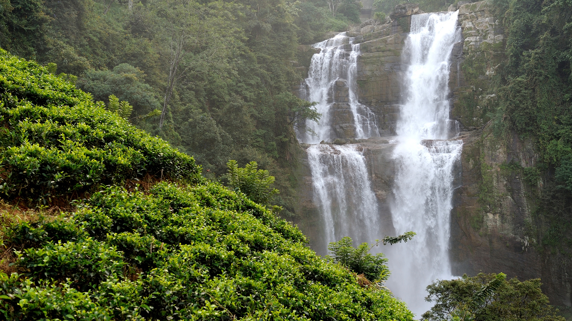 Ramboda falls in all its majesty 