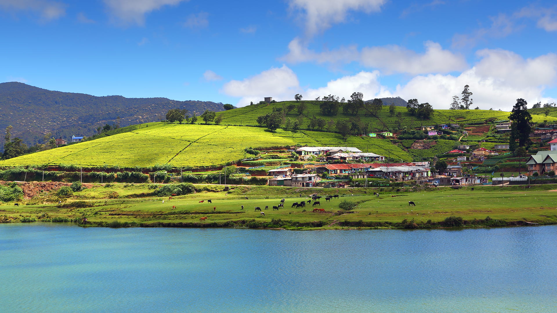 View of Gregory lake Nuwara Eliya and surrounding hills 