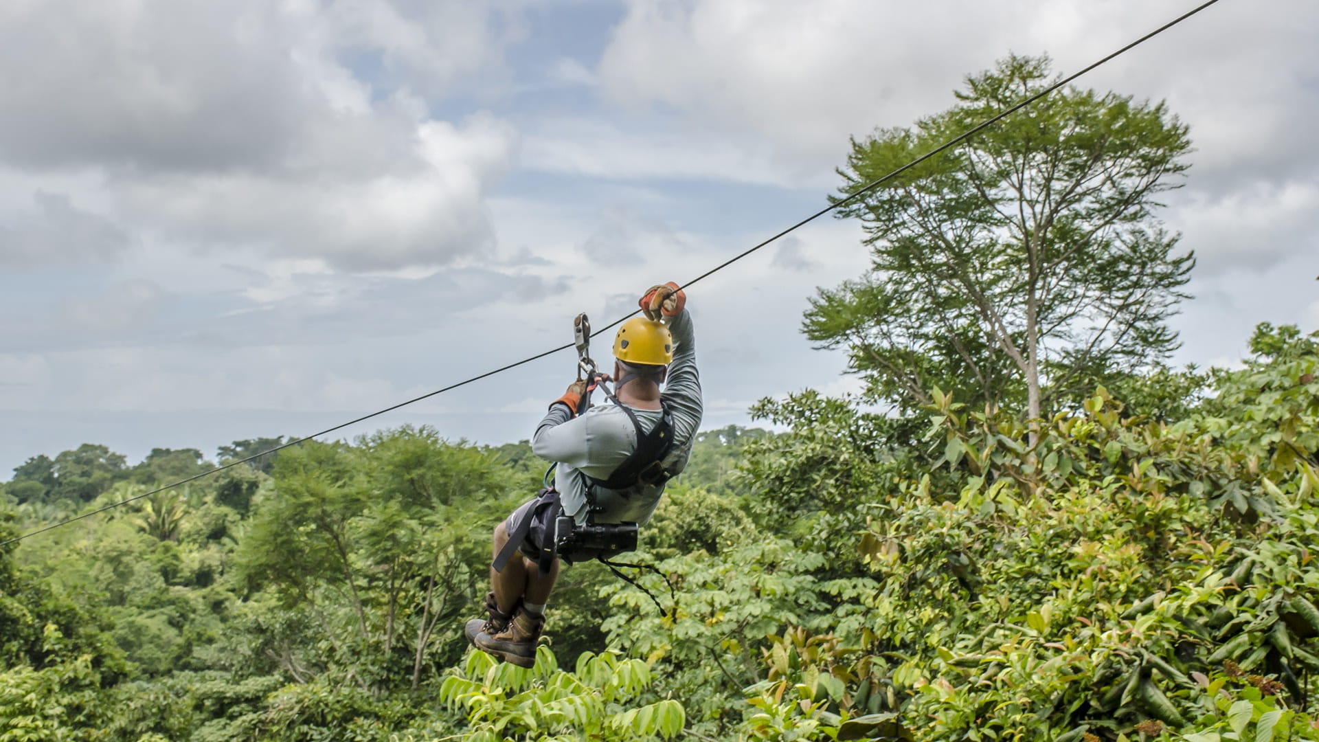 A man ziplining through the dense foliage 